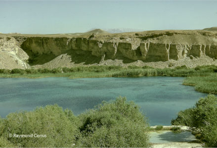 Afghanistan (4)