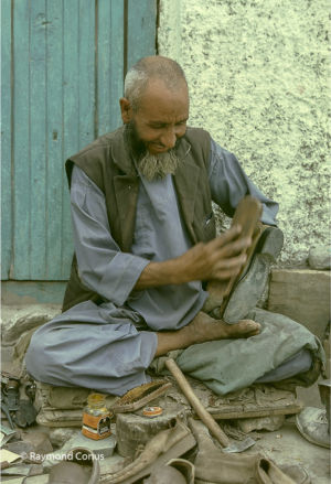 Afghanistan (5)