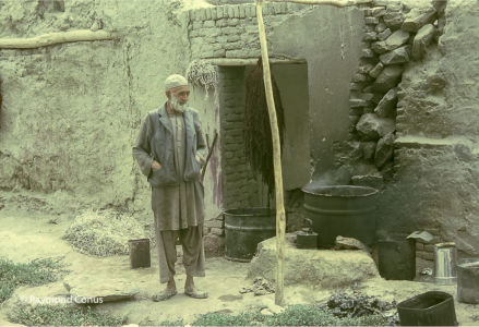 Afghanistan (6)