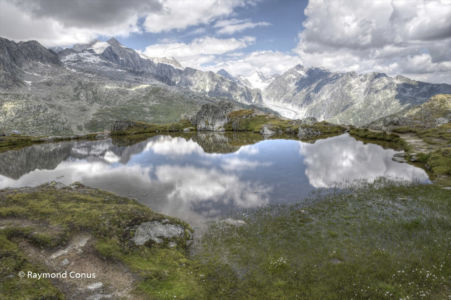Aletsch Arena (15)