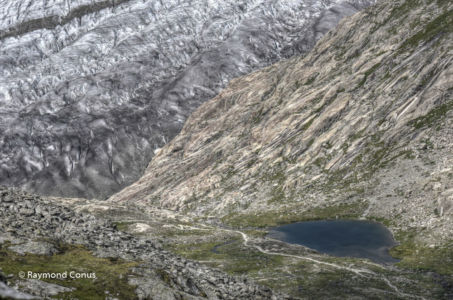 Aletsch Arena (21)
