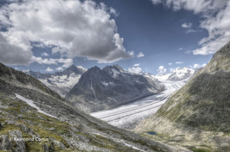 Aletsch Arena (22)
