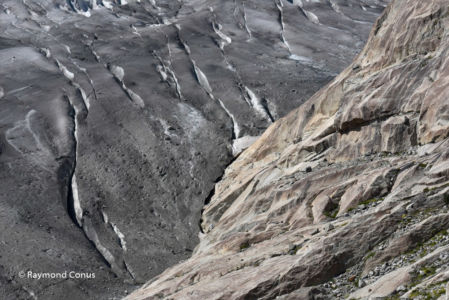 Aletsch Arena (30)