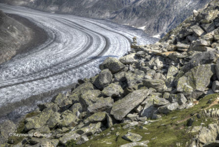 Aletsch Arena (33)