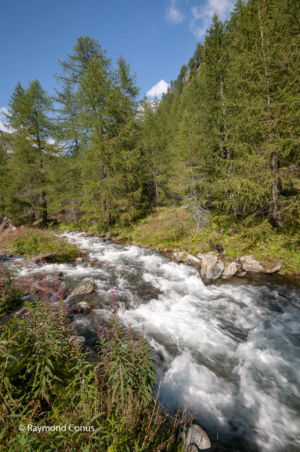 Alpe Devero (5)