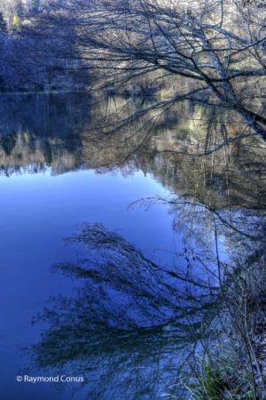 Arboretum du vallon de l'Aubonne en hiver (10)