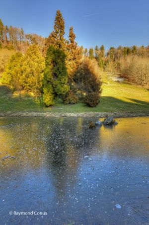Arboretum du vallon de l'Aubonne en hiver (12)