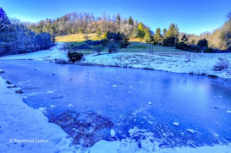 Arboretum du vallon de l'Aubonne en hiver (15)