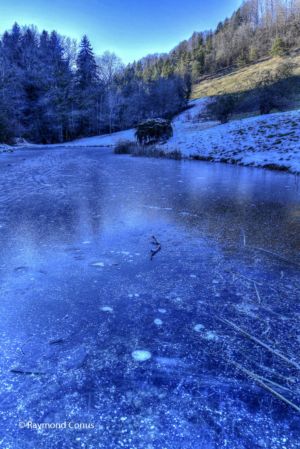 Arboretum du vallon de l'Aubonne en hiver (16)