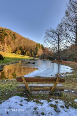 Arboretum du vallon de l'Aubonne en hiver (17)