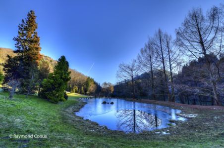 Arboretum du vallon de l'Aubonne en hiver (18)