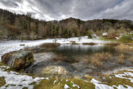 Arboretum du vallon de l'Aubonne en hiver (20)