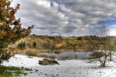 Arboretum du vallon de l'Aubonne en hiver (22)