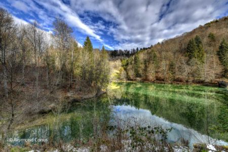 Arboretum du vallon de l'Aubonne en hiver (26)