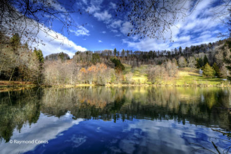 Arboretum du vallon de l'Aubonne en hiver (30)