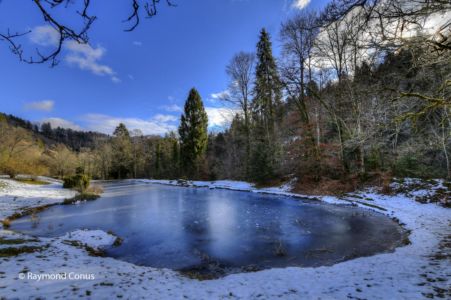 Arboretum du vallon de l'Aubonne en hiver (37)