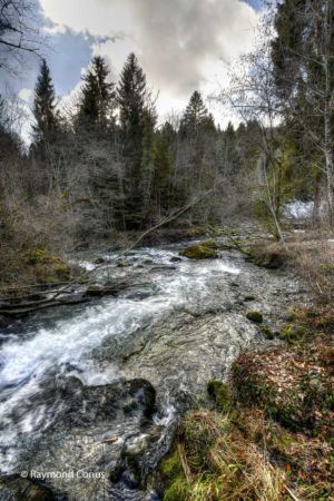 Arboretum du vallon de l'Aubonne en hiver (40)