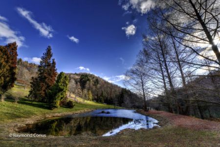 Arboretum du vallon de l'Aubonne en hiver (41)