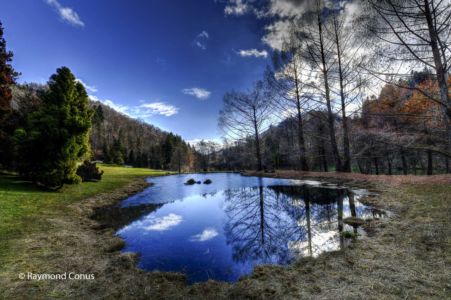 Arboretum du vallon de l'Aubonne en hiver (43)