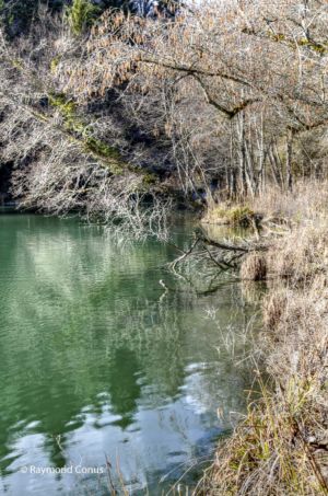 Arboretum du vallon de l'Aubonne en hiver (48)