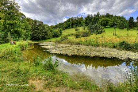 Arboretum du vallon de l'Aubonne en été (10)