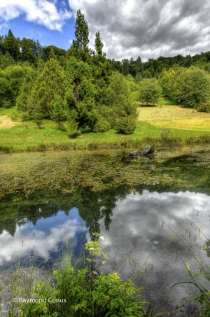 Arboretum du vallon de l'Aubonne en été (18)