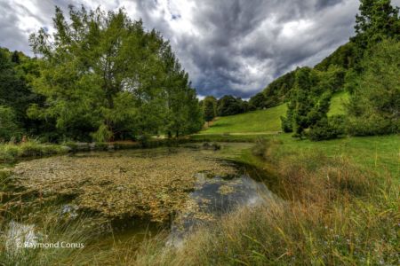 Arboretum du vallon de l'Aubonne en été (19)