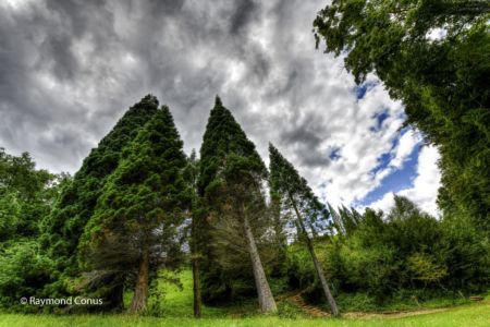 Arboretum du vallon de l'Aubonne en été (24)