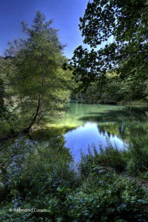 Arboretum du vallon de l'Aubonne en été (5)