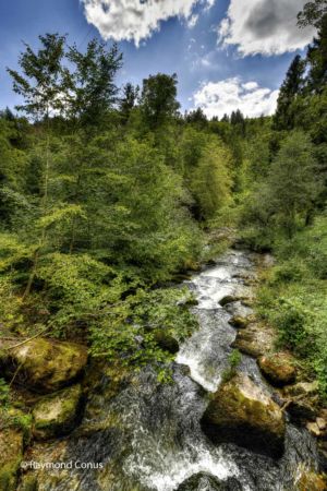 Arboretum du vallon de l'Aubonne en été (8)