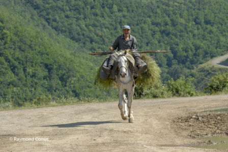 Armenia (12)