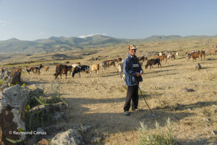 Armenia (18)