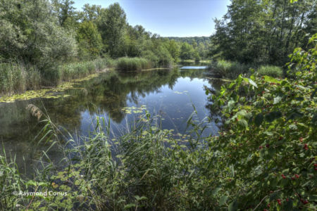 Balade au Moulin de Vert (13)