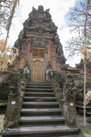 Bali (6)
