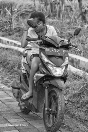 Balinese (15)