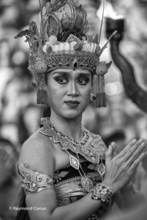 Balinese (49)