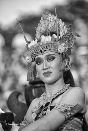 Balinese (51)