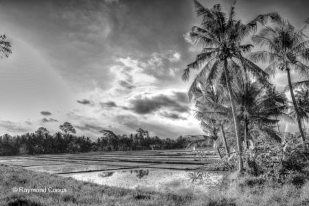 Balinese landscapes (4)