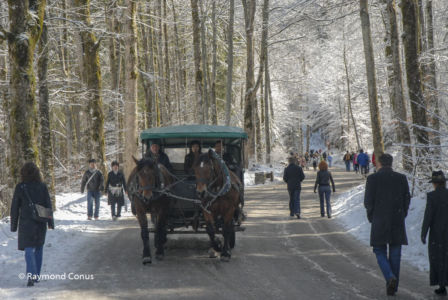 Bavaria (21)