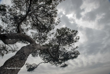 Côte d'Azur (19)