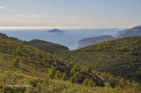 Côte d'Azur (7)