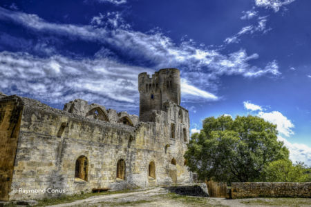 Camargue (101)