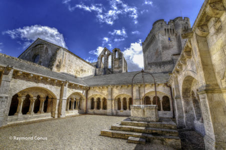 Camargue (103)