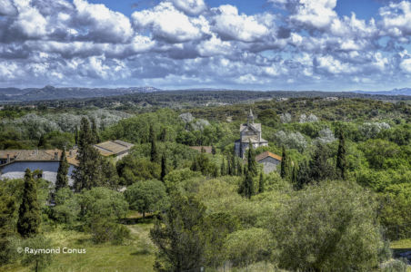 Camargue (105)