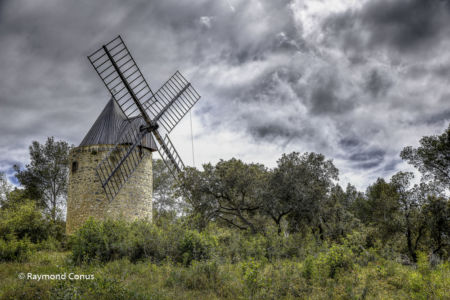 Camargue (106)