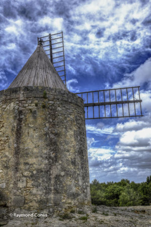 Camargue (107)