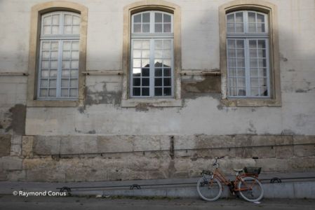 Camargue (108)