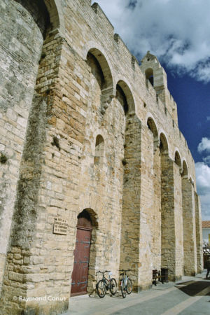Camargue (13)