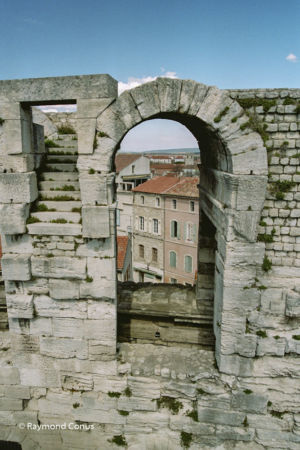 Camargue (20)