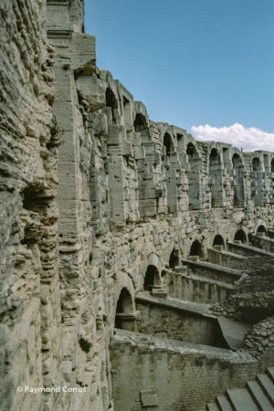Camargue (22)